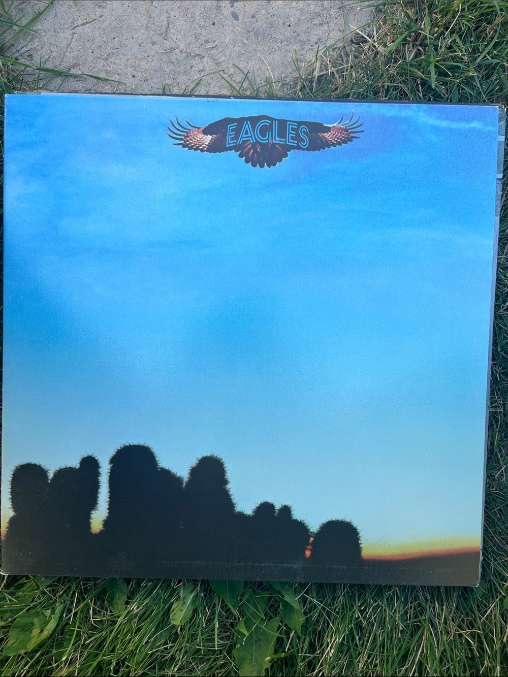 Vinyl Album with Sky Gradient Cover Artwork
